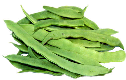 kwintus